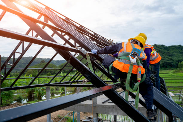 Best Storm Damage Roof Repair  in Alamae, NC