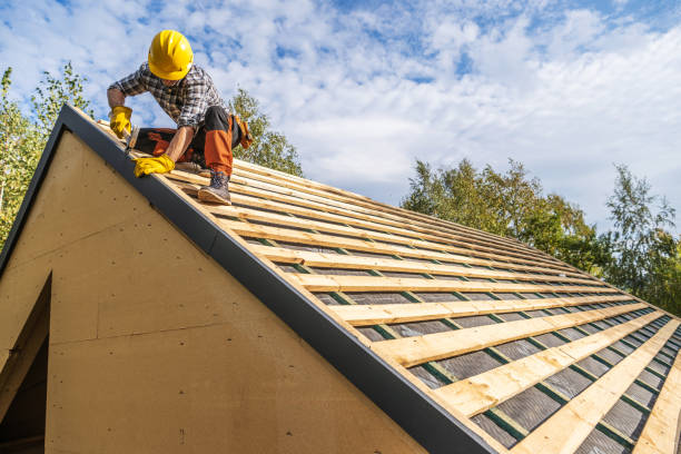 Best Metal Roofing Contractor  in Alamae, NC