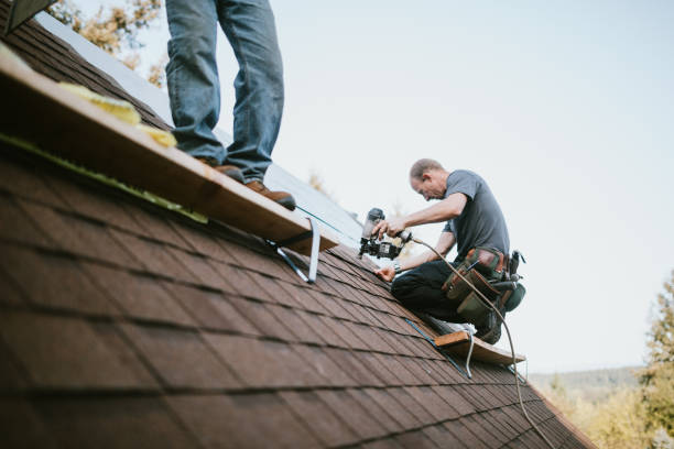 Best Roof Waterproofing Services  in Alamae, NC